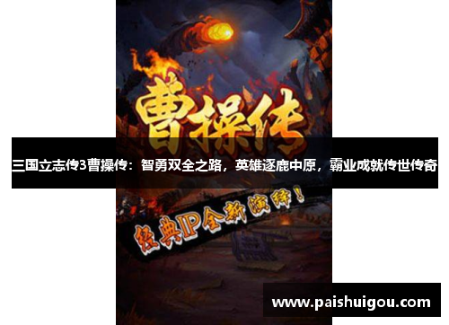 三国立志传3曹操传：智勇双全之路，英雄逐鹿中原，霸业成就传世传奇